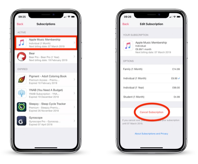 How to Cancel Subscription on iPhone and iPad